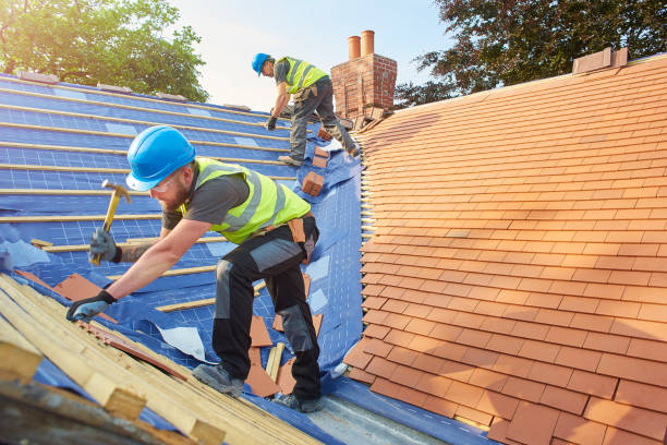 Best Green or Eco-Friendly Roofing Solutions  in Dekal, IL